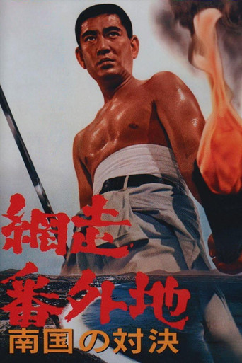 网走番外地：南国的对决海报