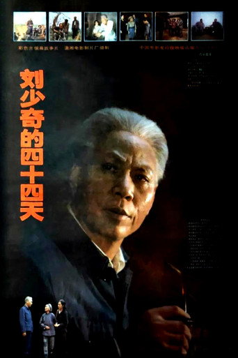 刘少奇的四十四天海报