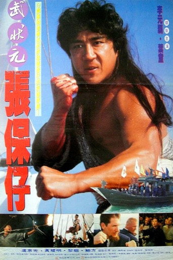张保仔海报
