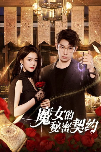 魔女的秘密契约海报