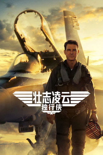 捍卫战士：独行侠海报