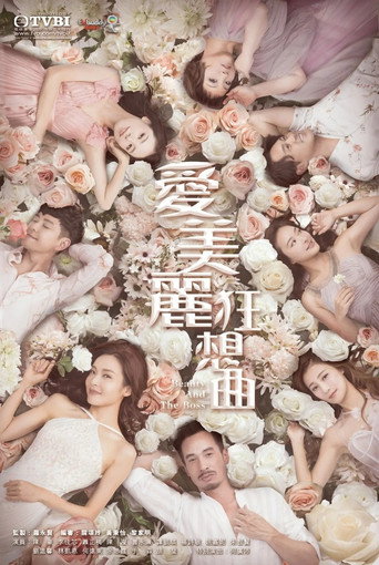 美丽狂想曲海报