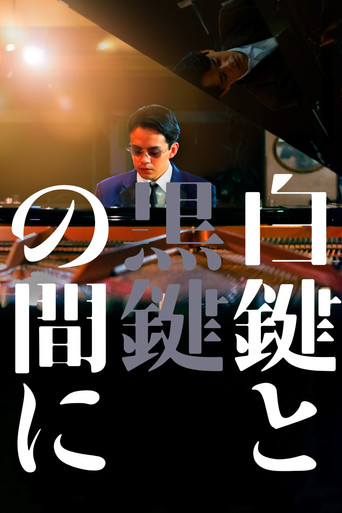 白键与黑键之间海报