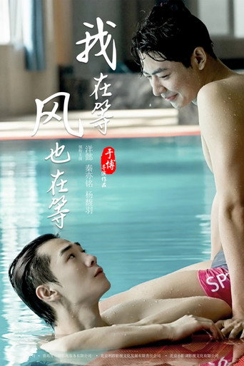 我在等，风也在等海报