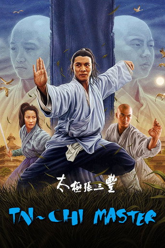 太极张三丰海报