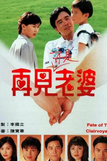 再见亦是老婆海报