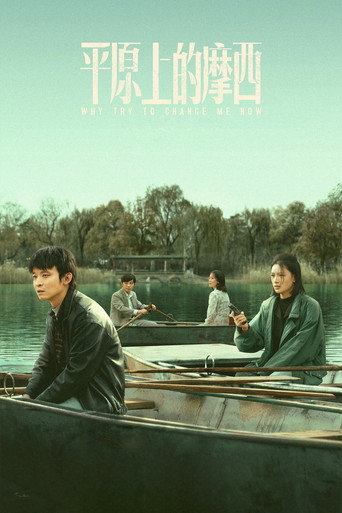 平原上的摩西海报