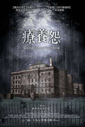 疗养怨海报