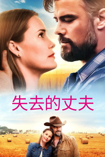 失去的丈夫海报
