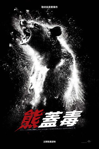 熊嗨了海报