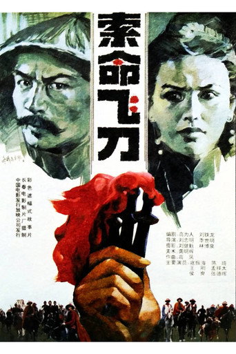 索命飞刀海报