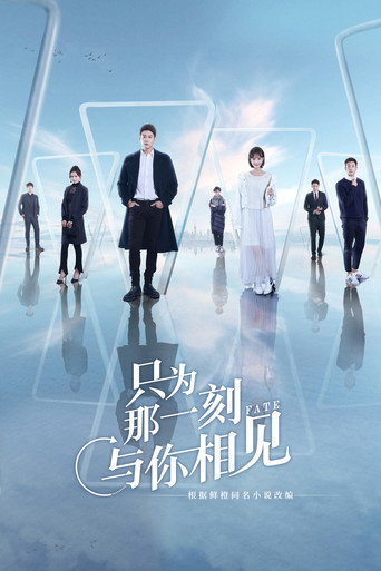 只为那一刻与你相见海报