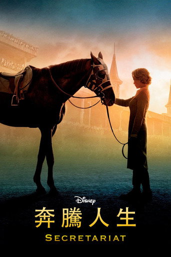 一代骄马海报