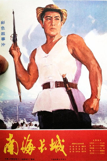 南海长城海报