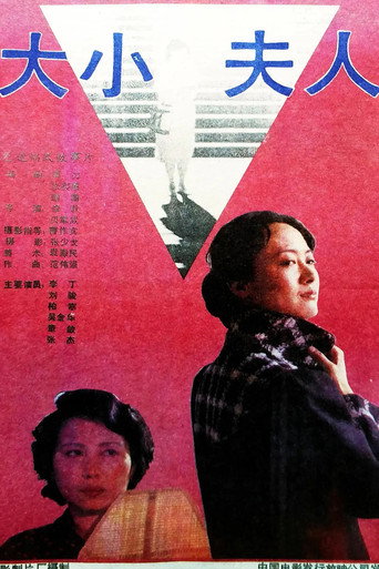 大小夫人海报
