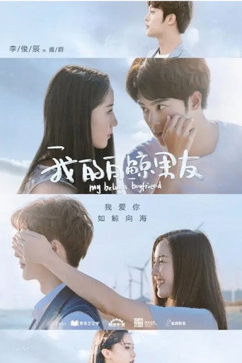 我的白鲸男友海报