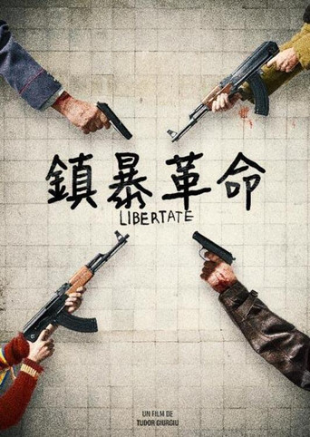 89年的锡比乌海报