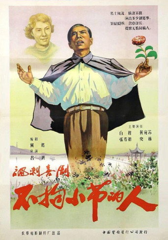 不拘小节的人海报