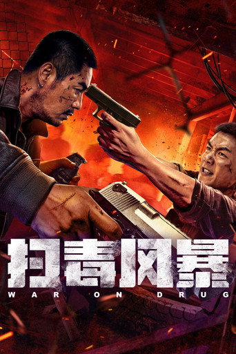 扫毒风暴海报