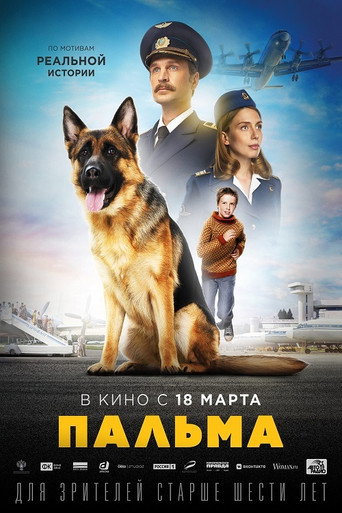 忠犬帕尔玛海报