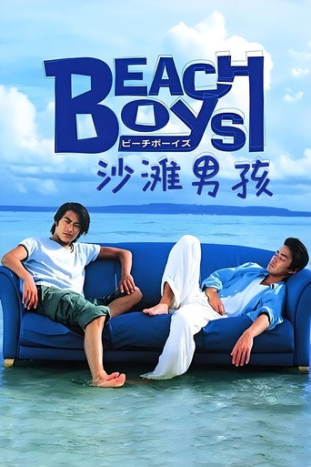 沙滩男孩海报