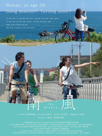 南风海报