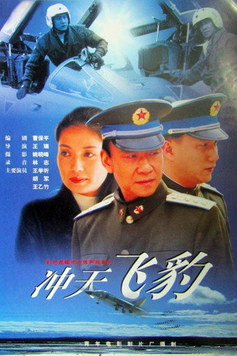冲天飞豹海报