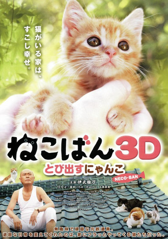 小猫跳出来3D海报