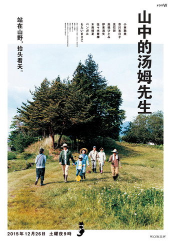 山中的汤姆先生海报