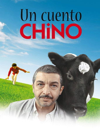 一丝偶然海报