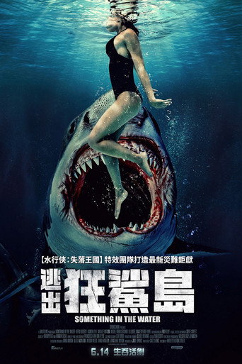 鲨齿险滩海报