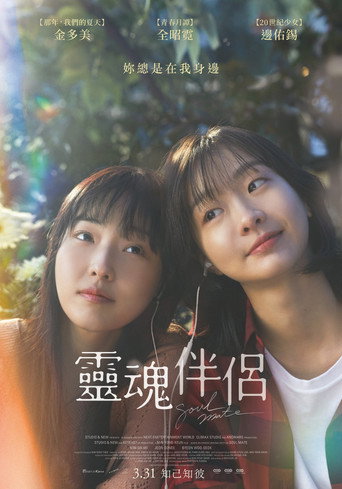 再见，我的灵魂伴侣海报