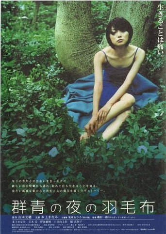 夜晚的蓝色羽毛毯海报
