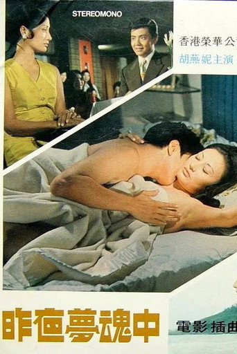 昨夜梦魂中海报
