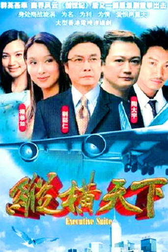 纵横天下海报