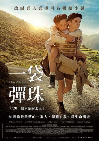 一袋弹子海报