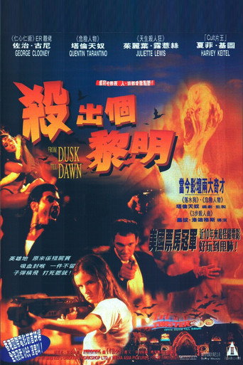 杀出个黎明海报