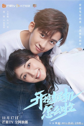 开挖掘机怎么啦海报