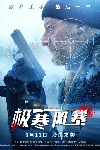 极寒风暴海报