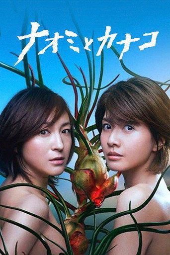 直美与加奈子海报