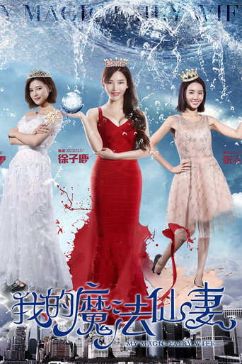 我的魔法仙妻海报