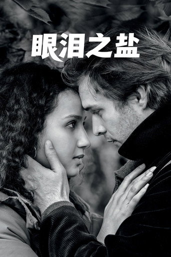眼泪之盐海报