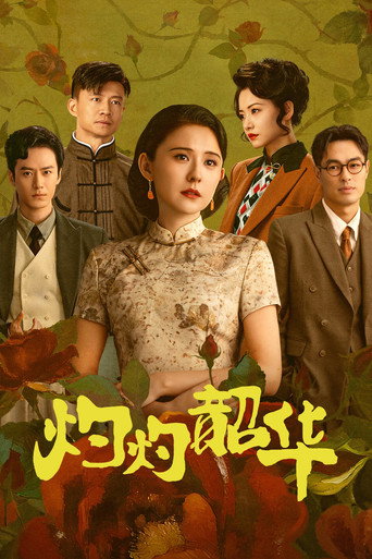 灼灼韶华海报