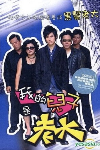 我的儿子是老大海报