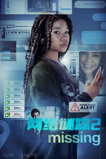 网络谜踪2海报