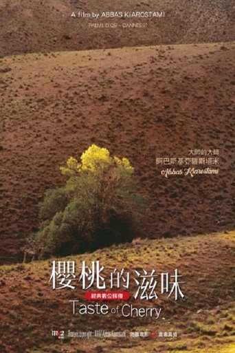樱桃的滋味海报