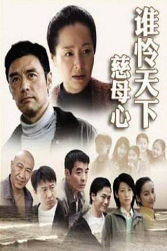 谁怜天下慈母心海报