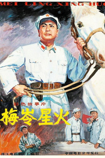 梅岭星火海报