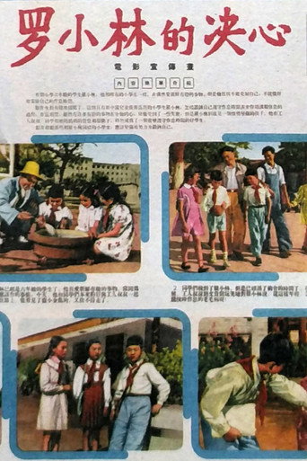 罗小林的决心海报