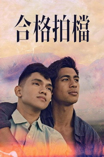 我的拍档海报